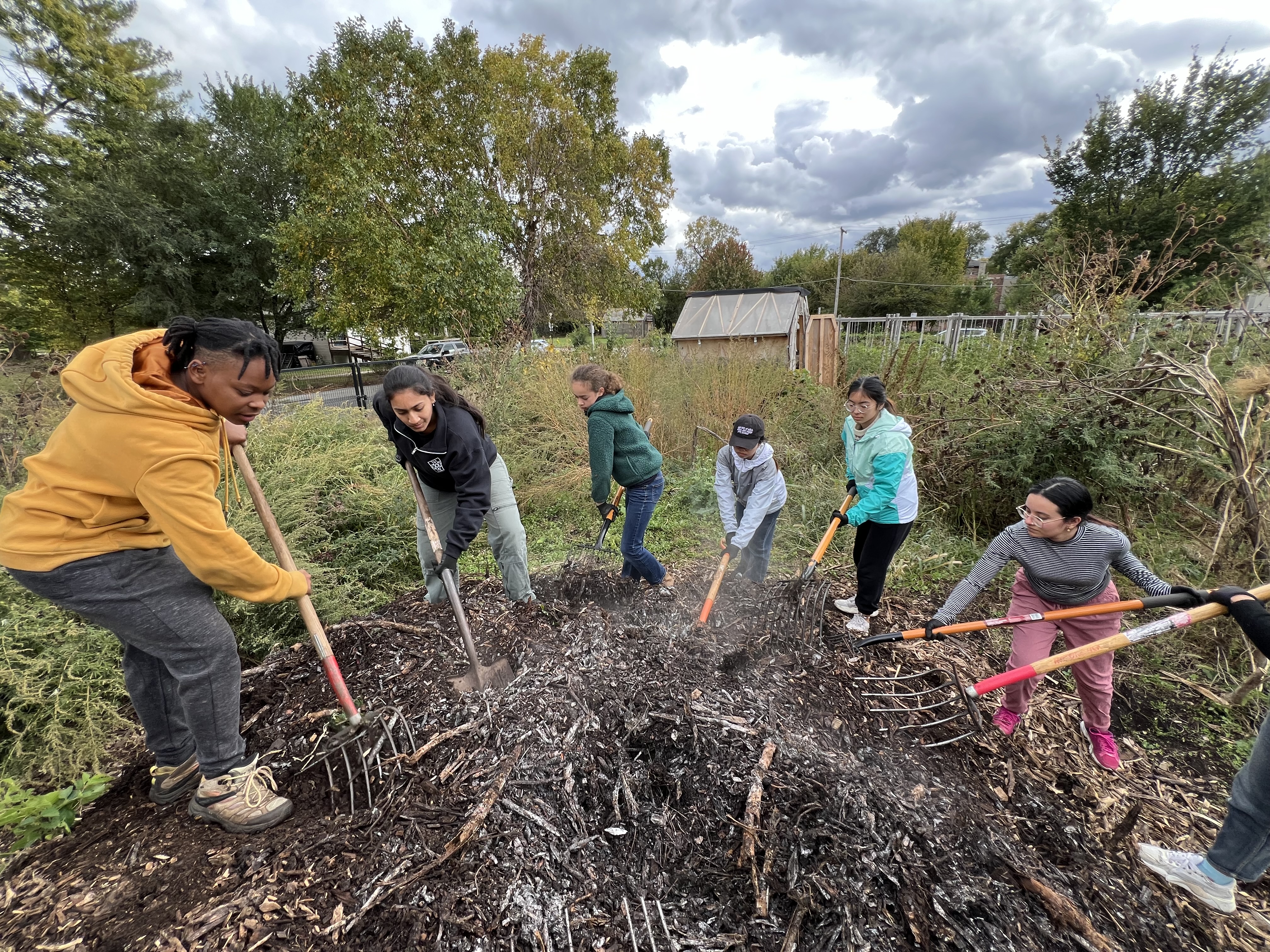 A group rakes a compost pile in a garden