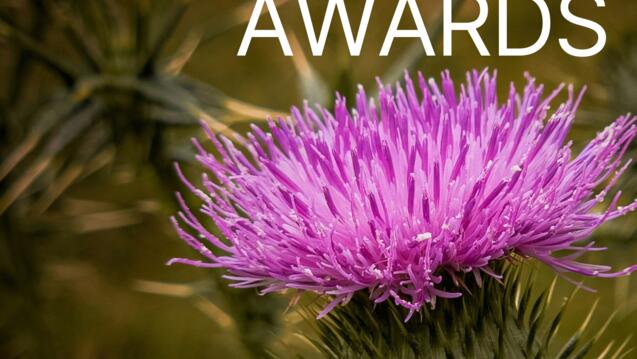 Architecture Fall '24 Awards digital screen poster with a photo of a thistle as background