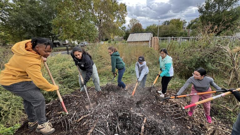 A group rakes a compost pile in a garden