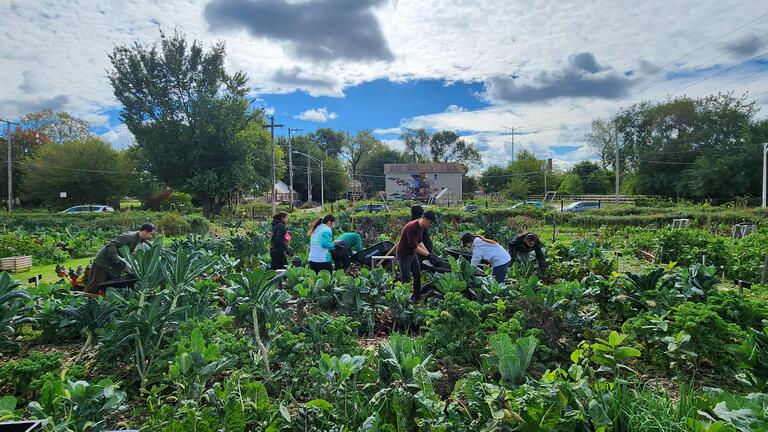 Students working in a garden