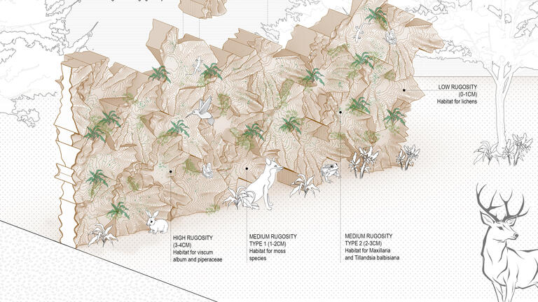 “MYCOFLAME: In care of forest biomes and wild fire resiliency,” a project by Jil Berenblum (MSSD ’24), Nandan Bhusury (MSSD ’24) and Rovina George (M.Arch ’24), first place recipients of the 2024 George W. Anderson, Jr. Award.