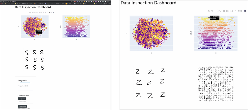 Data Inspection Dashboard