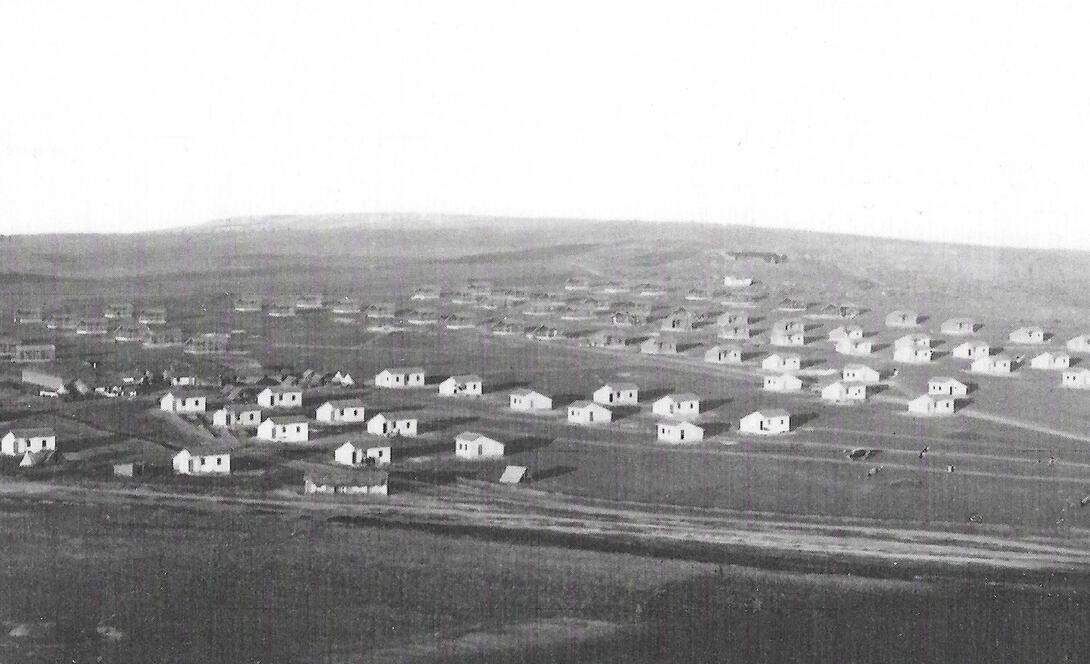 a hillside with houses from afar in black and white